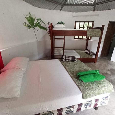 Guest House Great Hostels Amazon Puyo Exterior foto