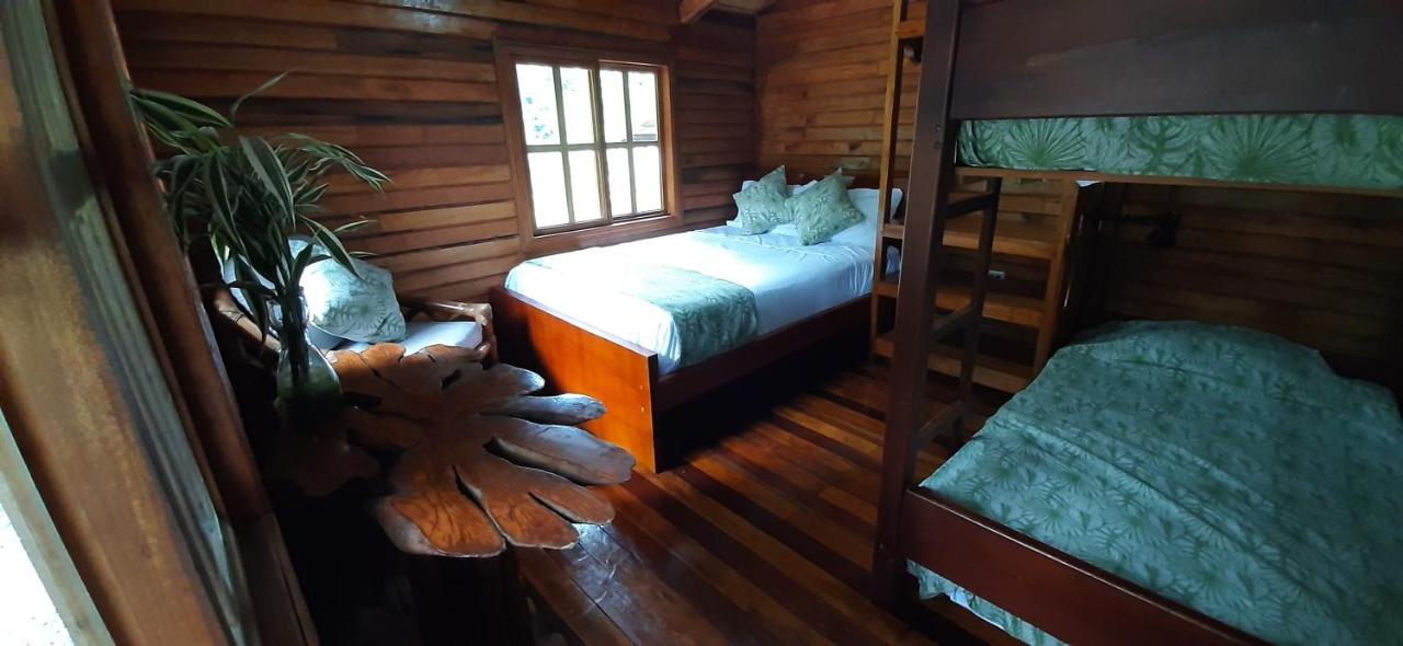 Guest House Great Hostels Amazon Puyo Exterior foto